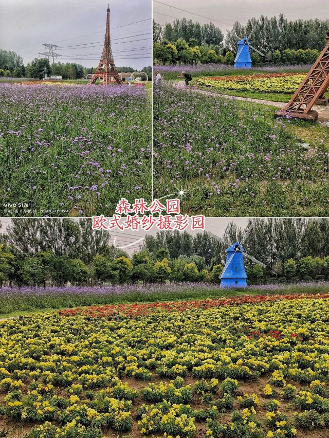 水师森林公园旅行图片 8