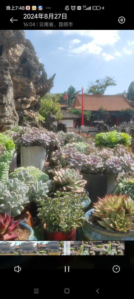 圆通禅寺旅行图片 2