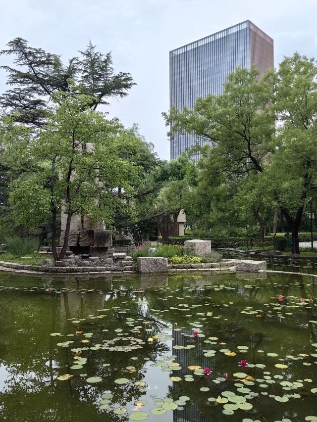 丽都花园旅行图片 5