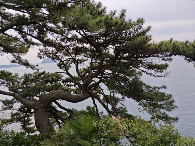 京东大峡谷旅行图片