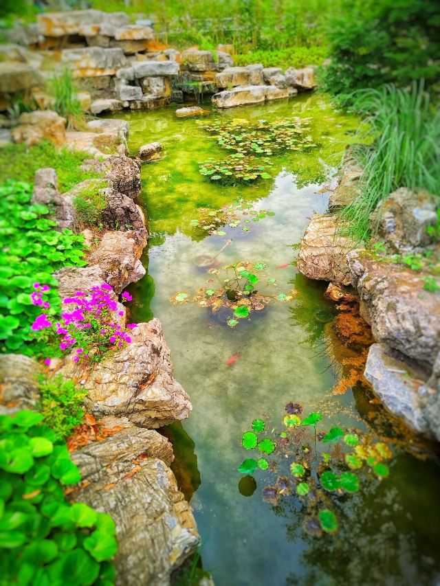 花溪公园旅行图片 3