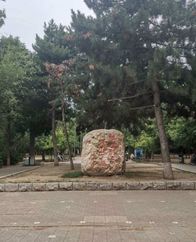 迎春公园旅行图片 2