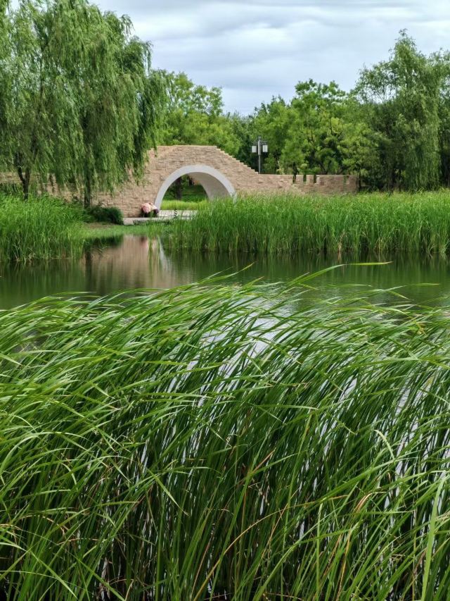张家湾公园旅行图片 6