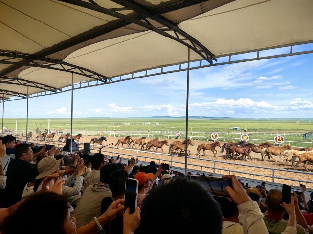 呼伦贝尔大草原巴尔虎蒙古部落(暂停开放)旅行图片 2
