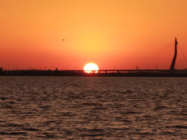 大辽河入海口旅行图片 2
