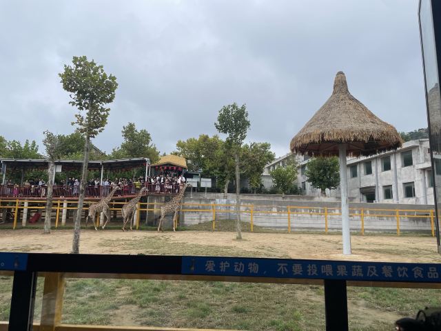 西霞口神雕山野生动物世界奇遇乐园旅行图片 2