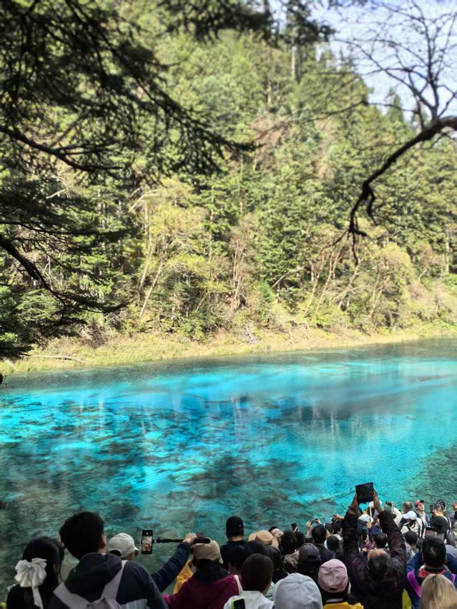 九寨沟景区五彩池观景台旅行图片 2
