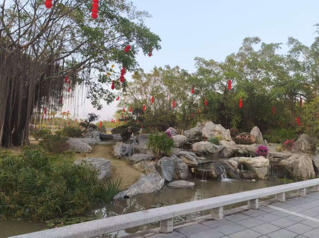 小鸟天堂旅行图片 3