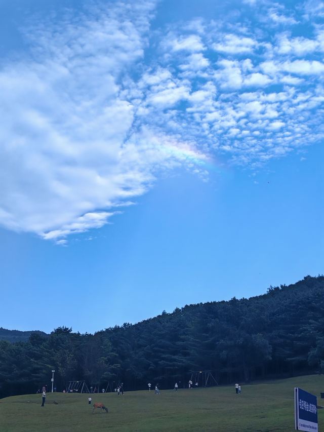 飞泷金山鹿苑旅行图片 6
