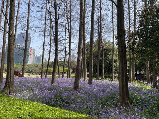 古城公园旅行图片 2
