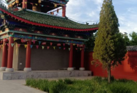 油松王旅游区景点图片