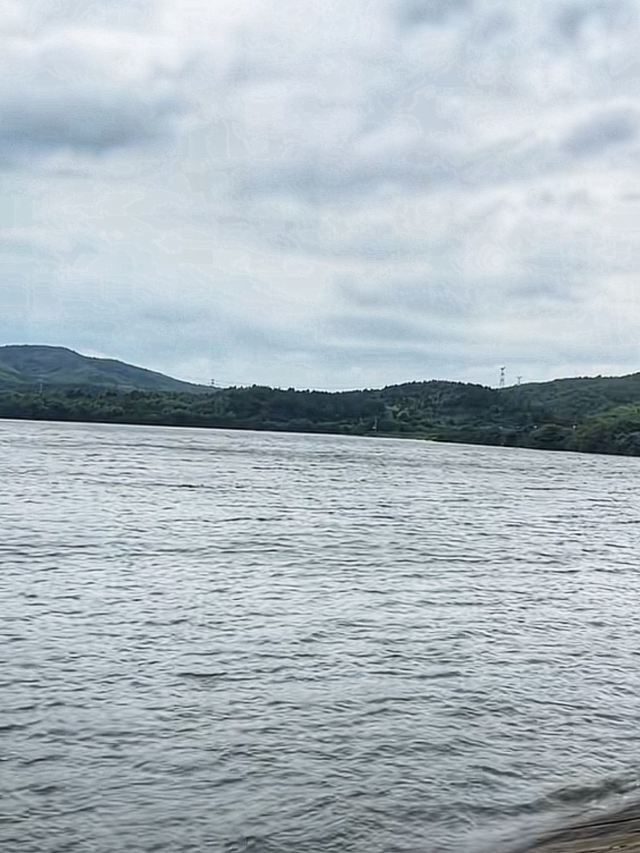 蟠龙湖森林公园旅行图片 3