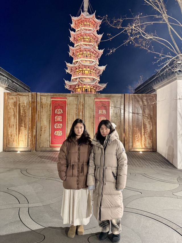 龙华寺旅行图片 6