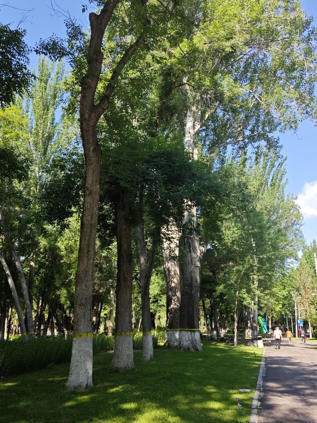 人民公园旅行图片 2