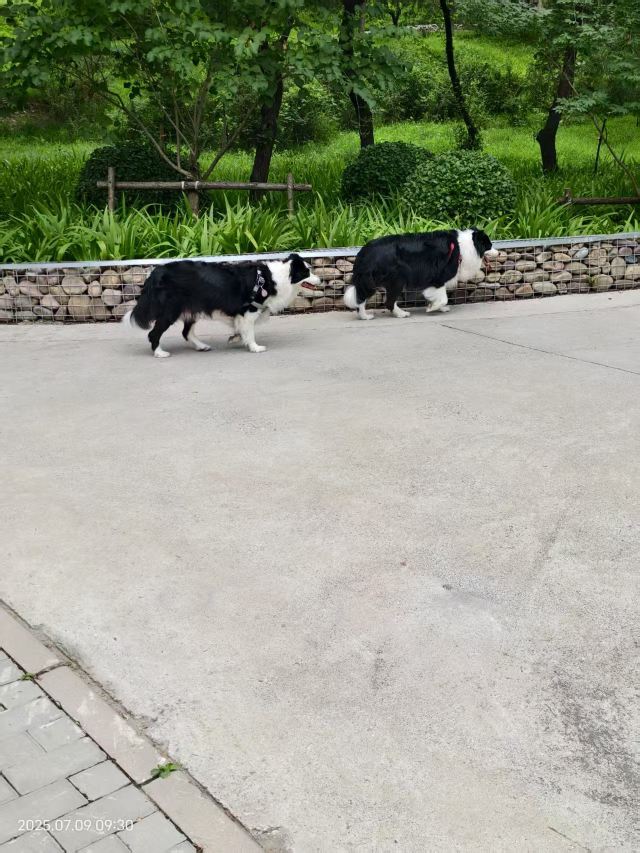 老山城市休闲公园旅行图片 13