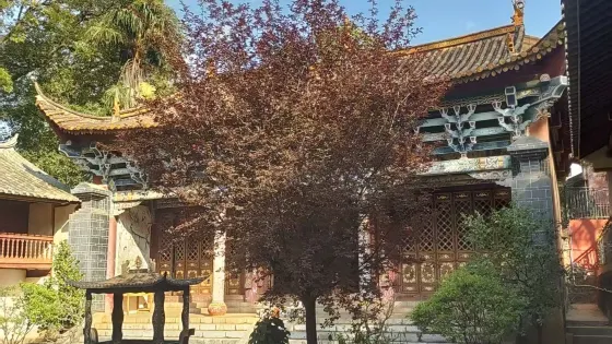 九龍池