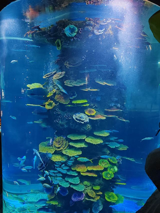 徐州欧乐堡海洋极地世界旅行图片 2
