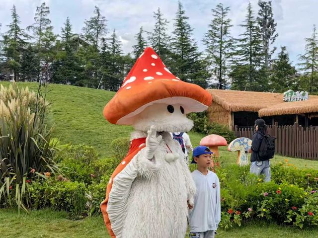 丽江千古情景区旅行图片 5
