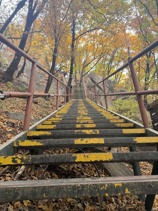 朱雀山国家森林公园旅行图片 2