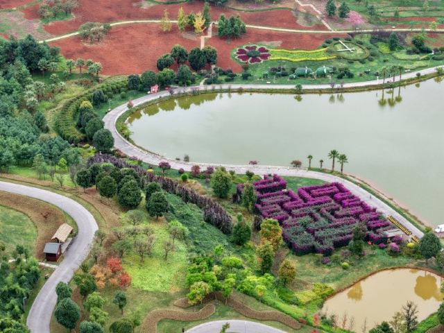 太平湖森林公园旅行图片 2