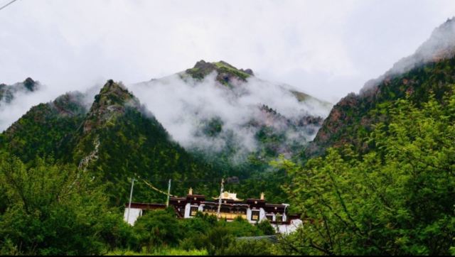 直贡噶举派古布宗寺旅行图片 2