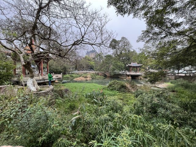 中山公园旅行图片 6