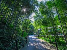 天目湖御水温泉-溧阳-晚睡小猫ye