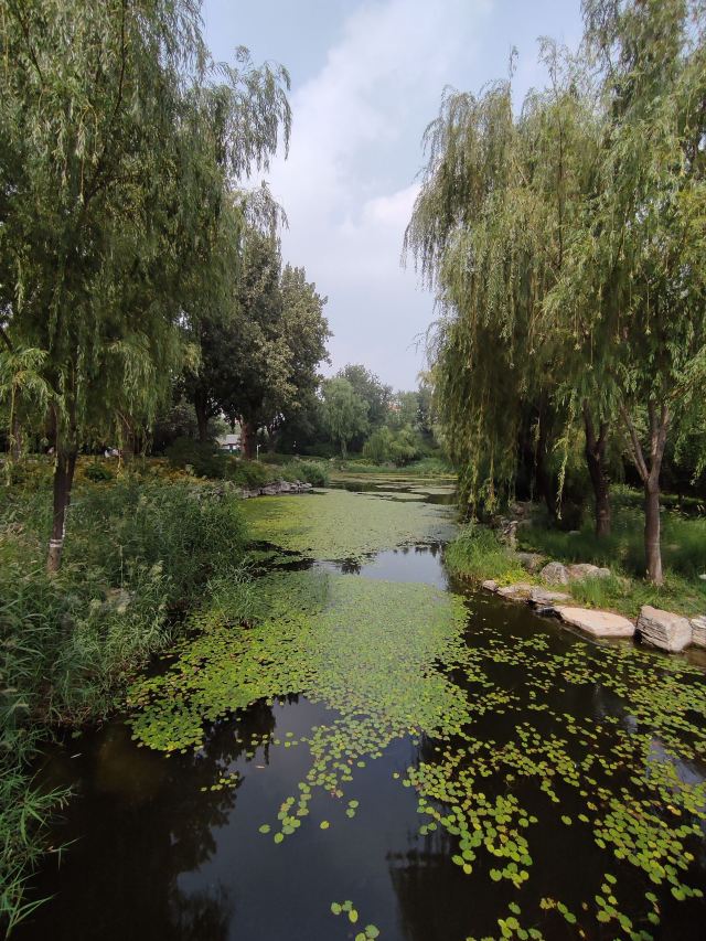 柳荫公园旅行图片 11