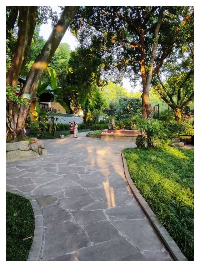 鹅岭公园旅行图片 2
