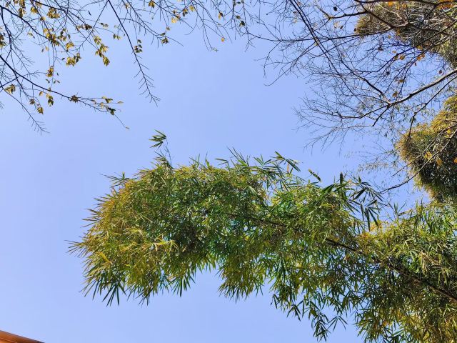 大轮山公园旅行图片 3