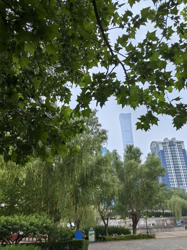 庆丰公园旅行图片 2