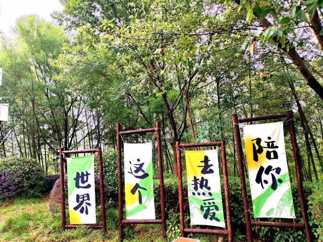 笄山竹海旅行图片 3