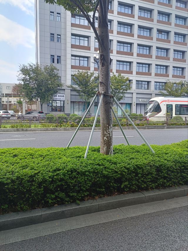 嘉兴子城遗址公园旅行图片 3