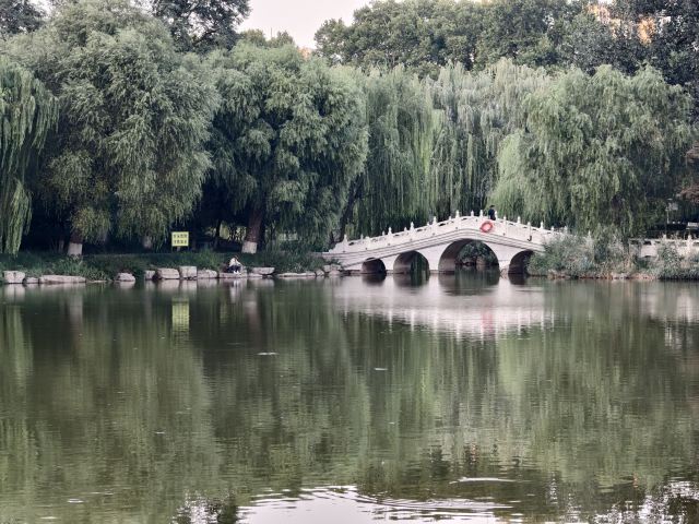 长安公园旅行图片 4