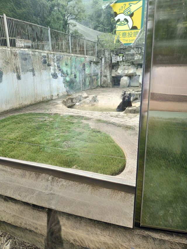 黔灵山公园旅行图片 12