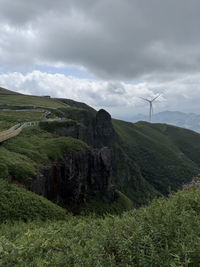 阿西里西韭菜坪旅行图片 5