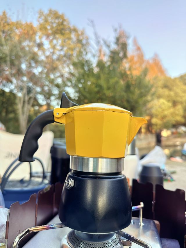 浦江森林公园旅行图片 9