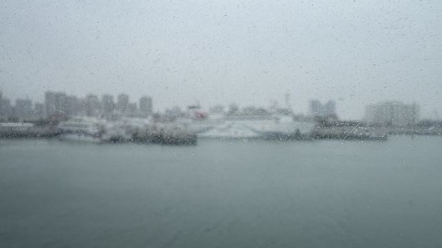北海国际康乐旅游港旅行图片 2