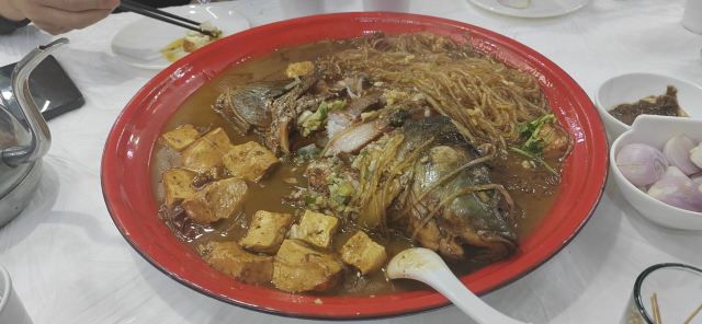 牡丹江珍稀动物园旅行图片 1