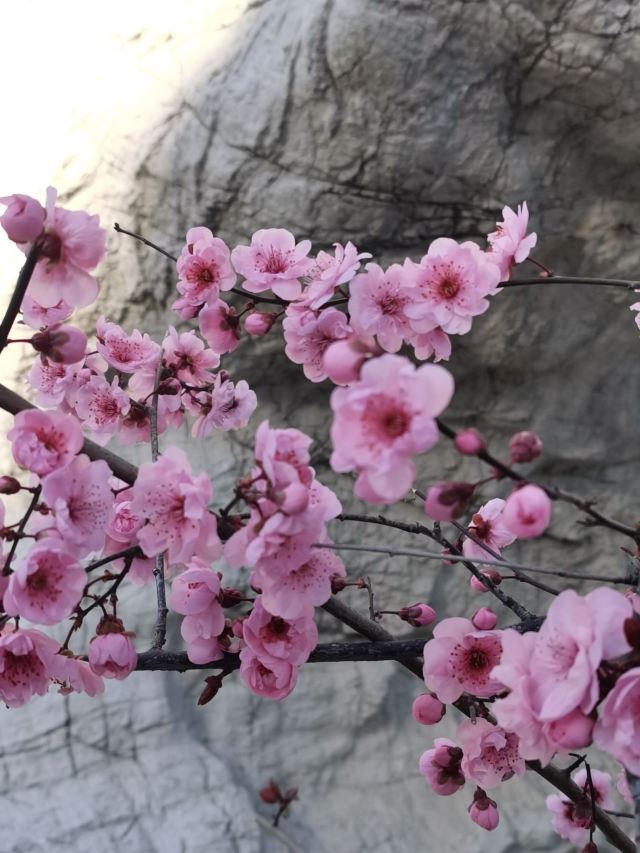 银川景城公园旅行图片 3