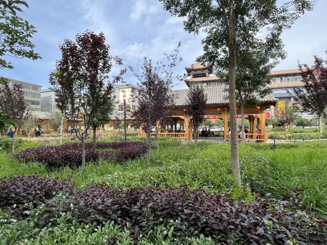 南城门广场旅行图片 6