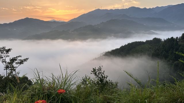桃源梯田景区旅行图片 1