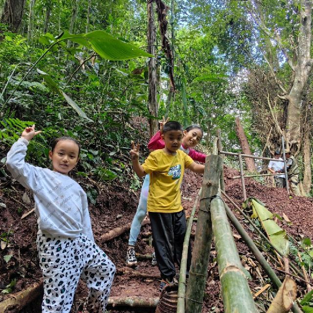 基诺山达娘雨林徒步旅行图片 5