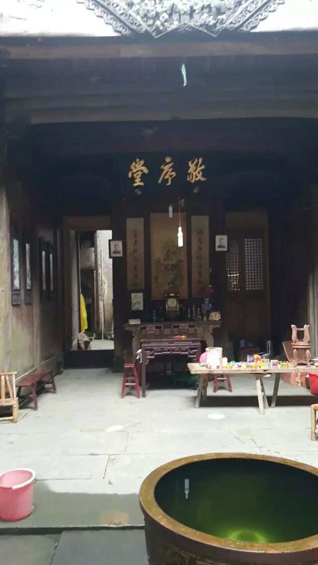 新江湾湿地生态观鸟拍鸟基地旅行图片 1