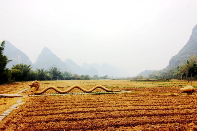梦幻遇龙花映稻香景区旅行图片 4