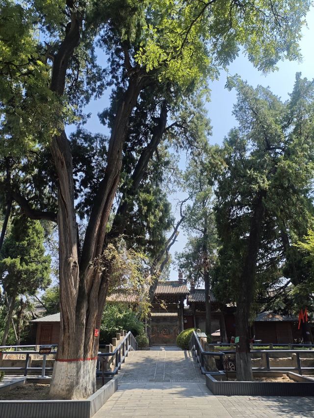 韩城古城旅行图片 4
