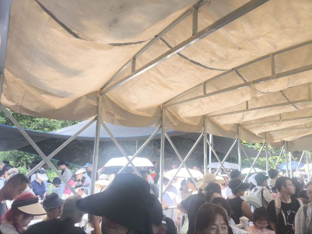 棒棰岛旅行图片 1