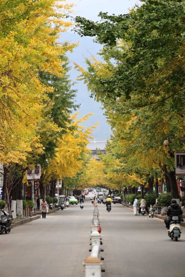 大理古城旅行图片 1