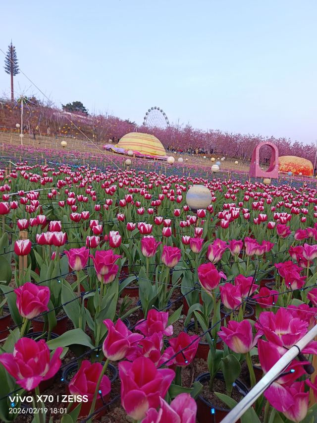 音乐·百花谷旅行图片 1