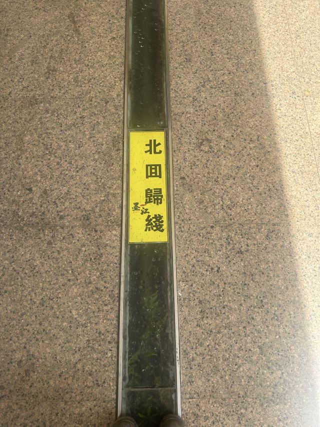 普洱太阳河森林公园旅行图片 7